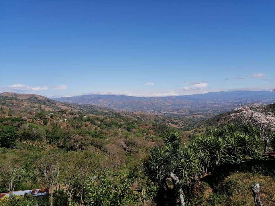 Vendo propiedad en jarazal de puriscal 1 km del parque ₡18.000 el metro cuadrado