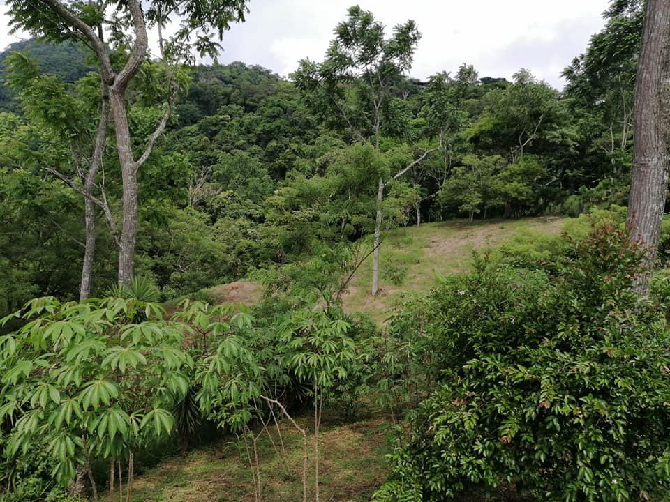 Vendo propiedad en jarazal de puriscal 1 km del parque ₡18.000 el metro cuadrado