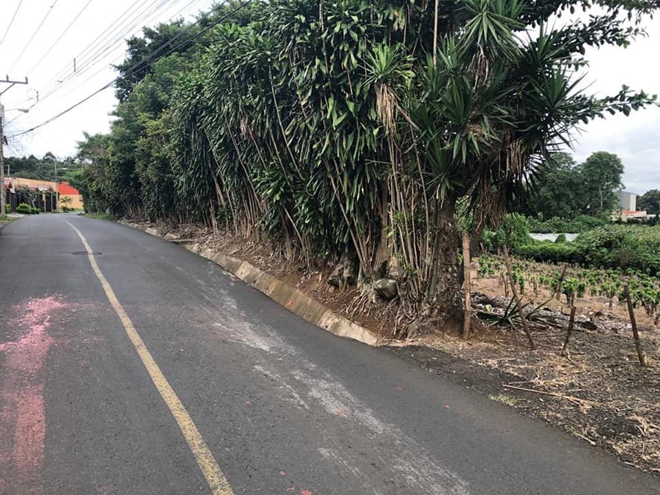 Venta de lote ₡40.000 por metro cuadrado, Flores Heredia