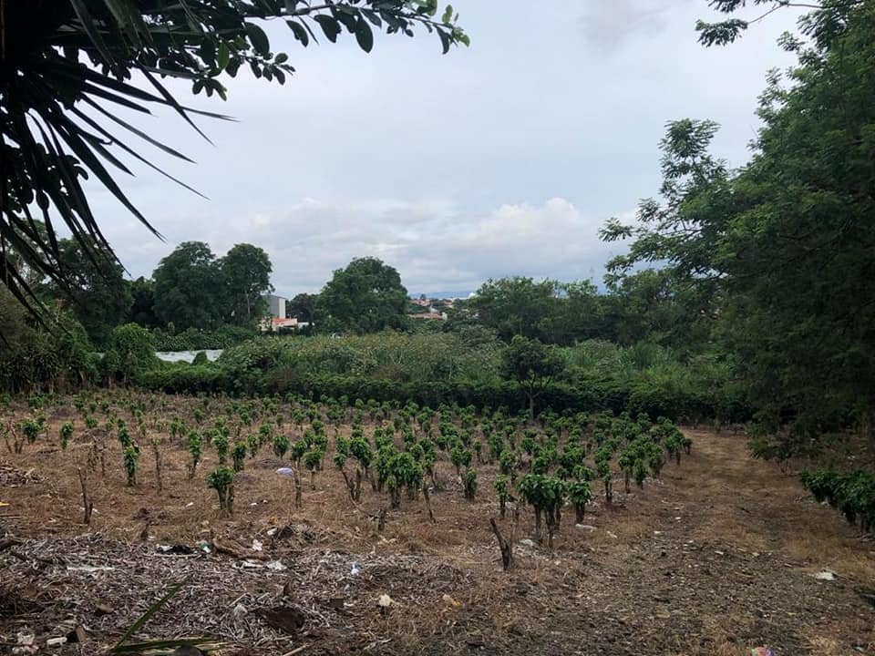 Venta de lote ₡40.000 por metro cuadrado, Flores Heredia