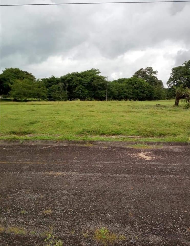 Se vende lote en Jiménez de Guápiles, ₡11.900.000