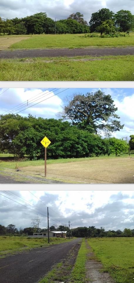 Se vende lote en Jiménez de Guápiles, ₡11.900.000