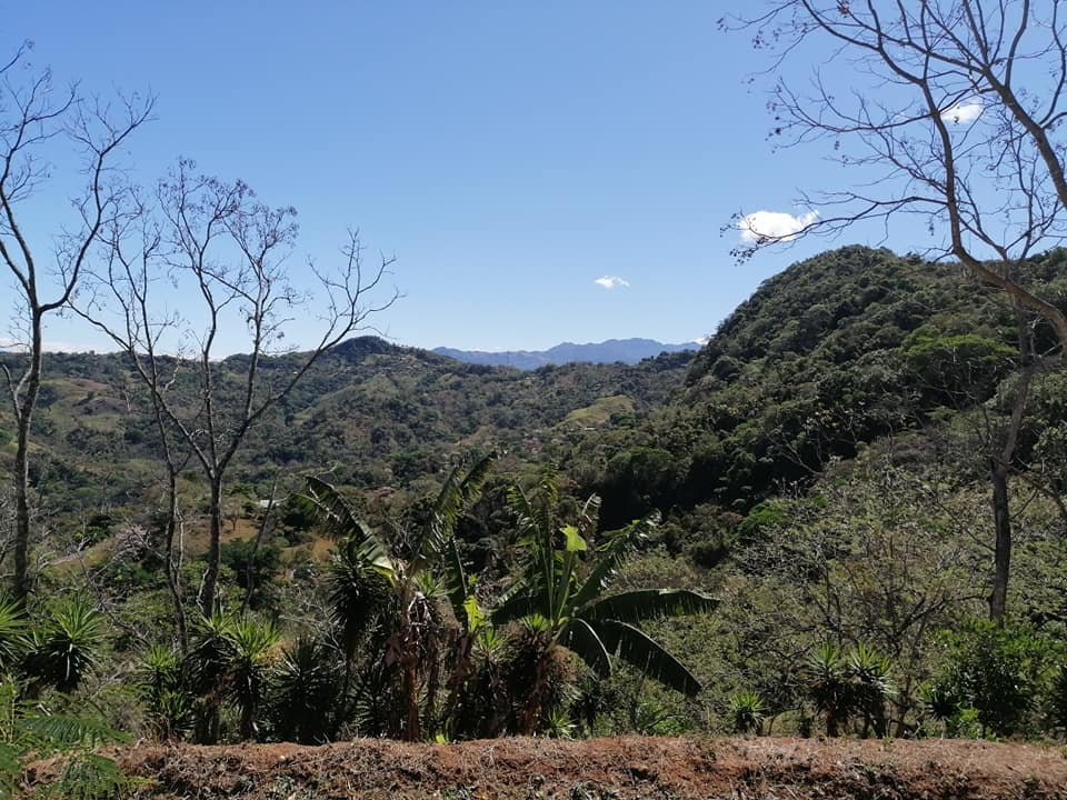 Vendo propiedad en jarazal de puriscal 1 km del parque ₡18.000 el metro cuadrado