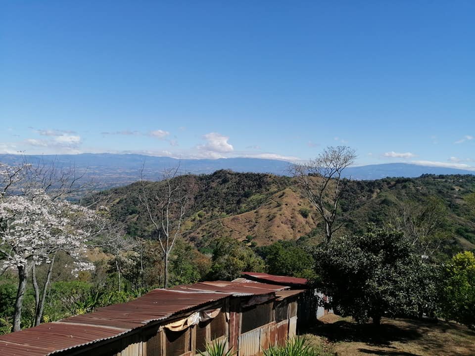 Vendo propiedad en jarazal de puriscal 1 km del parque ₡18.000 el metro cuadrado