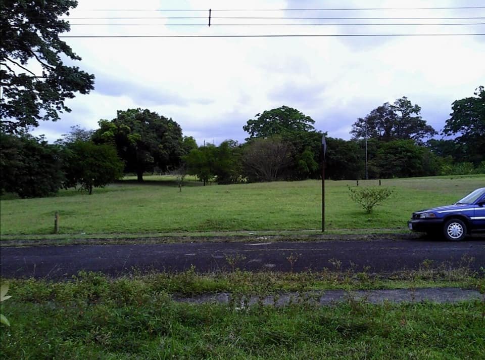 Se vende lote en Jiménez de Guápiles, ₡11.900.000