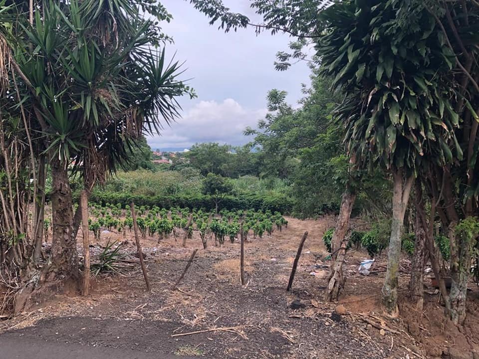 Venta de lote ₡40.000 por metro cuadrado, Flores Heredia