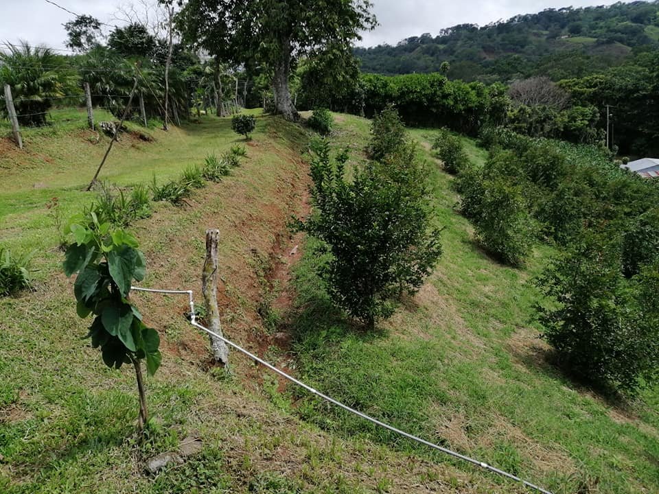 Vendo propiedad en jarazal de puriscal 1 km del parque ₡18.000 el metro cuadrado