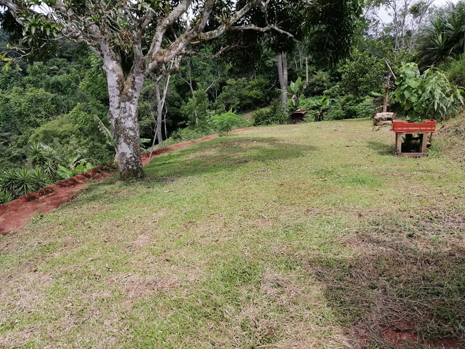 Vendo propiedad en jarazal de puriscal 1 km del parque ₡18.000 el metro cuadrado