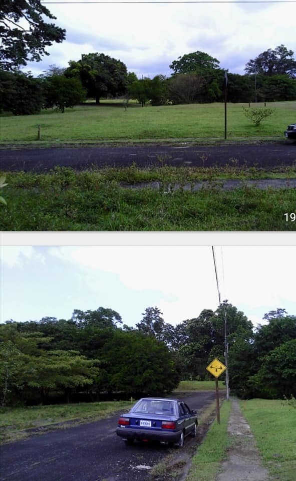 Se vende lote en Jiménez de Guápiles, ₡11.900.000
