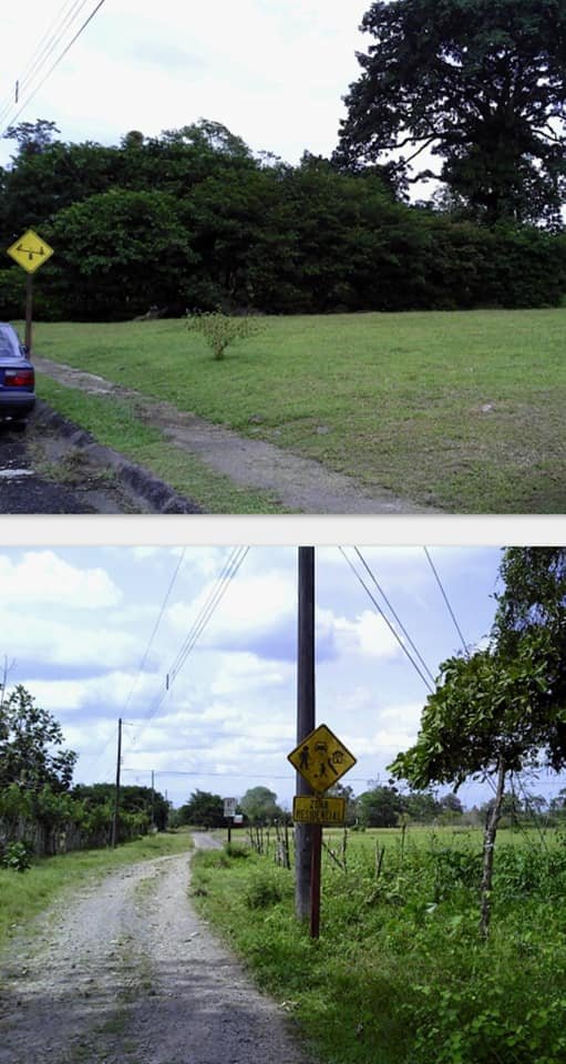 Se vende lote en Jiménez de Guápiles, ₡11.900.000