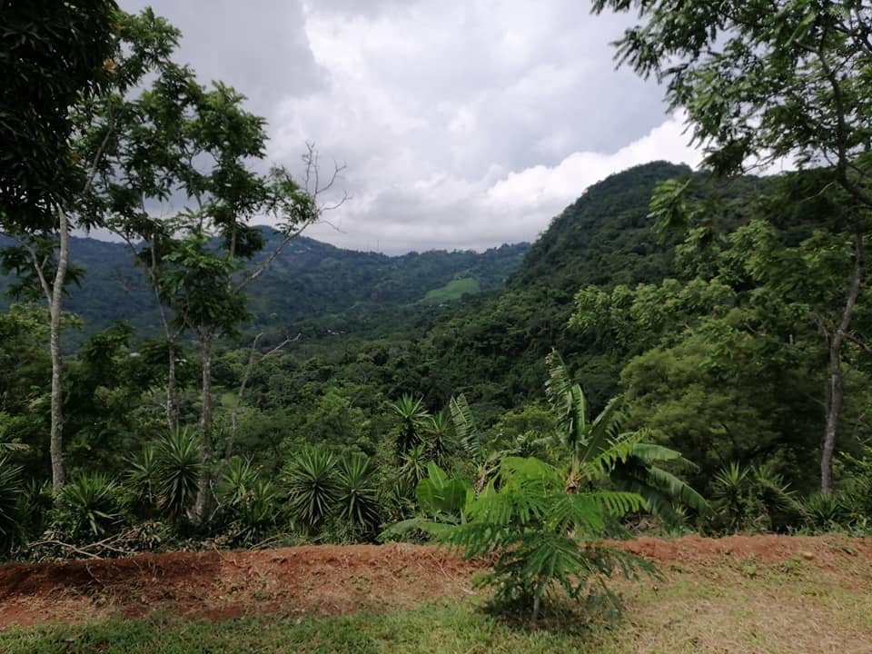 Vendo propiedad en jarazal de puriscal 1 km del parque ₡18.000 el metro cuadrado