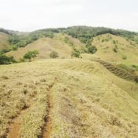 📌📌👉SE VENDE FINCA PARA 🐄LECHERIA, 🐔GRANJA DE POLLOS Ó 🌾🚜🐖AGRICULTURA EN SAN RAMON DE ALAJUELA