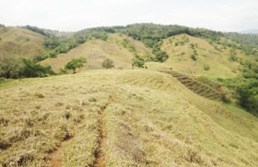 SE VENDE FINCA PARA 🐄LECHERIA, 🐔GRANJA DE POLLOS Ó 🌾🚜🐖AGRICULTURA EN SAN RAMON DE ALAJUEL