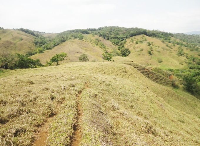 📌📌👉SE VENDE FINCA PARA 🐄LECHERIA, 🐔GRANJA DE POLLOS Ó 🌾🚜🐖AGRICULTURA EN SAN RAMON DE ALAJUELA