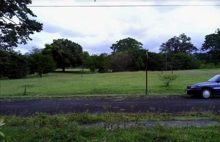 Se vende lote en Jiménez de Guápiles ₡11.900.000