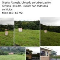 Lote Ubicado en Urbanizacion Cerrada, El Cedro. Cuenta con todos los servicios ₡57000000