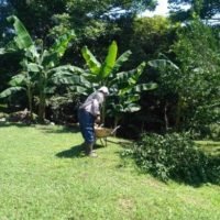 TERRENO PARA QUINTA EN SAN PEDRO DE POAS DE ALAJUELA. ₡40.000 x m2