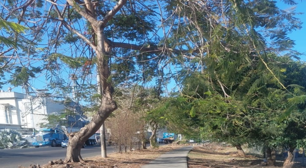 Terreno Comercial e Industrial en Venta en El Roble, Puntarenas Frente a la calle principal