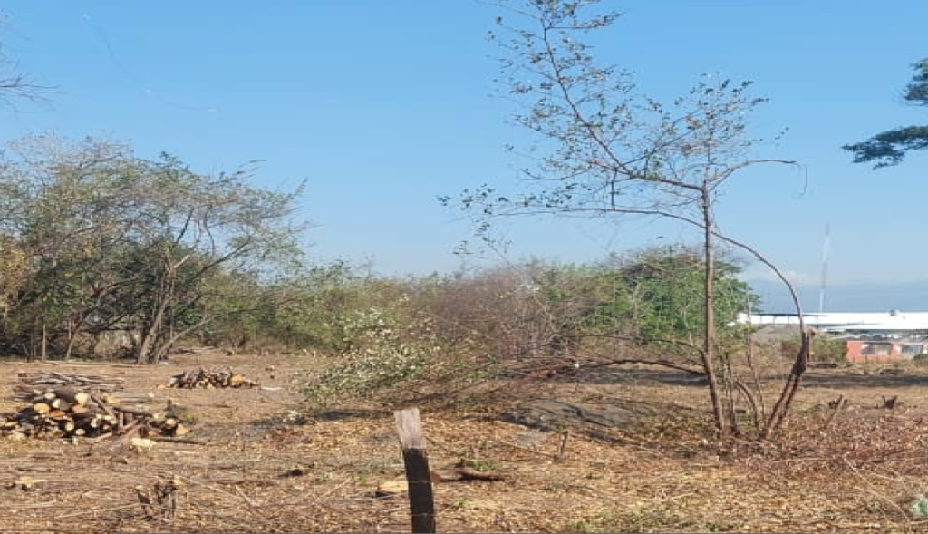 Terreno Comercial e Industrial en Venta en El Roble, Puntarenas Frente a la calle principal zona comercial
