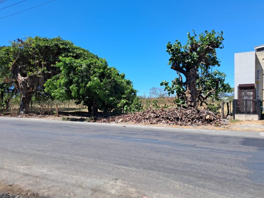 Terreno Comercial en Venta en El Roble de Puntarenas: Excelente Oportunidad de Inversión a la par de Taco Bell ubicacion zona principal